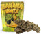 Banana Runtz | 60% Special Sauce