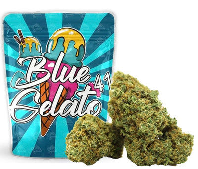 Blue Gelato 41 | 17% CBD